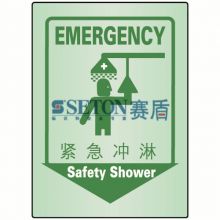 豪华安全指示标识 紧急冲淋 Safety shower[工作场所][通用性安全标识]